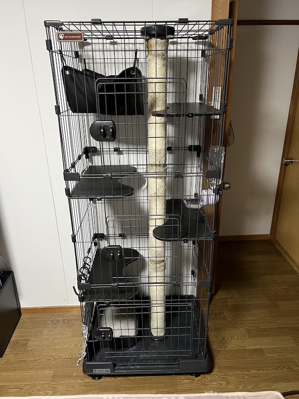 ケージは、開けっぱなしでいい1