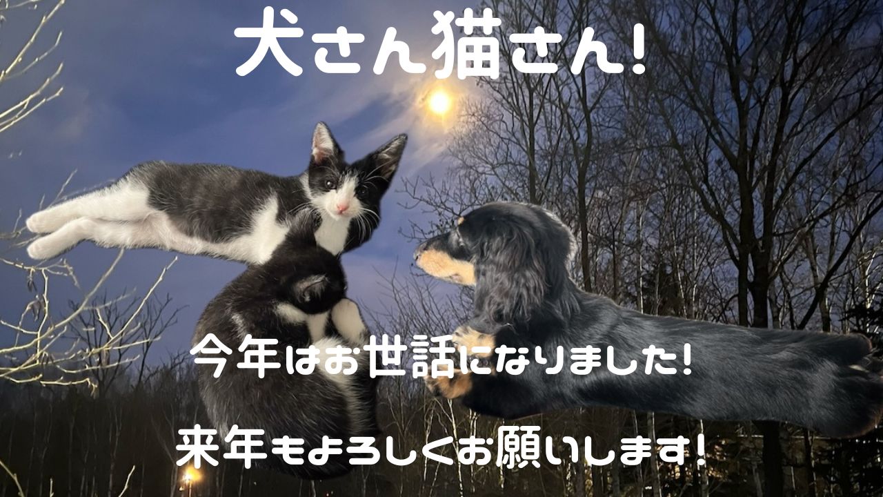 犬猫アイキャッチ 今年もお世話になりました 来年もよろしくお願いします