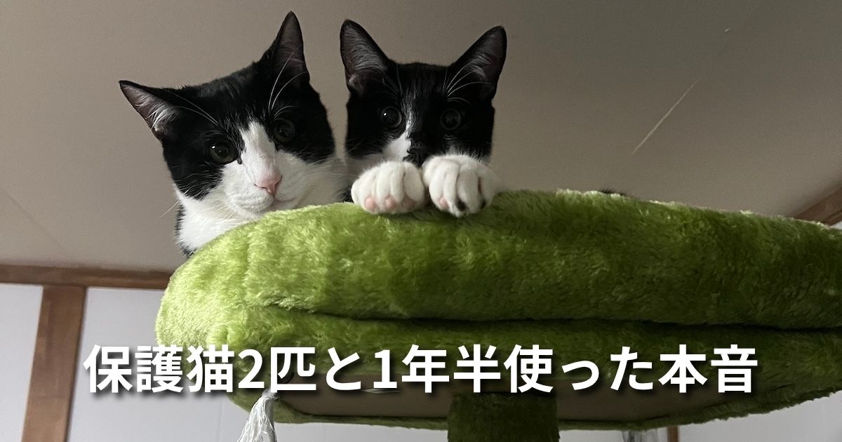保護猫2匹と1年半使った本音 アイキャッチ