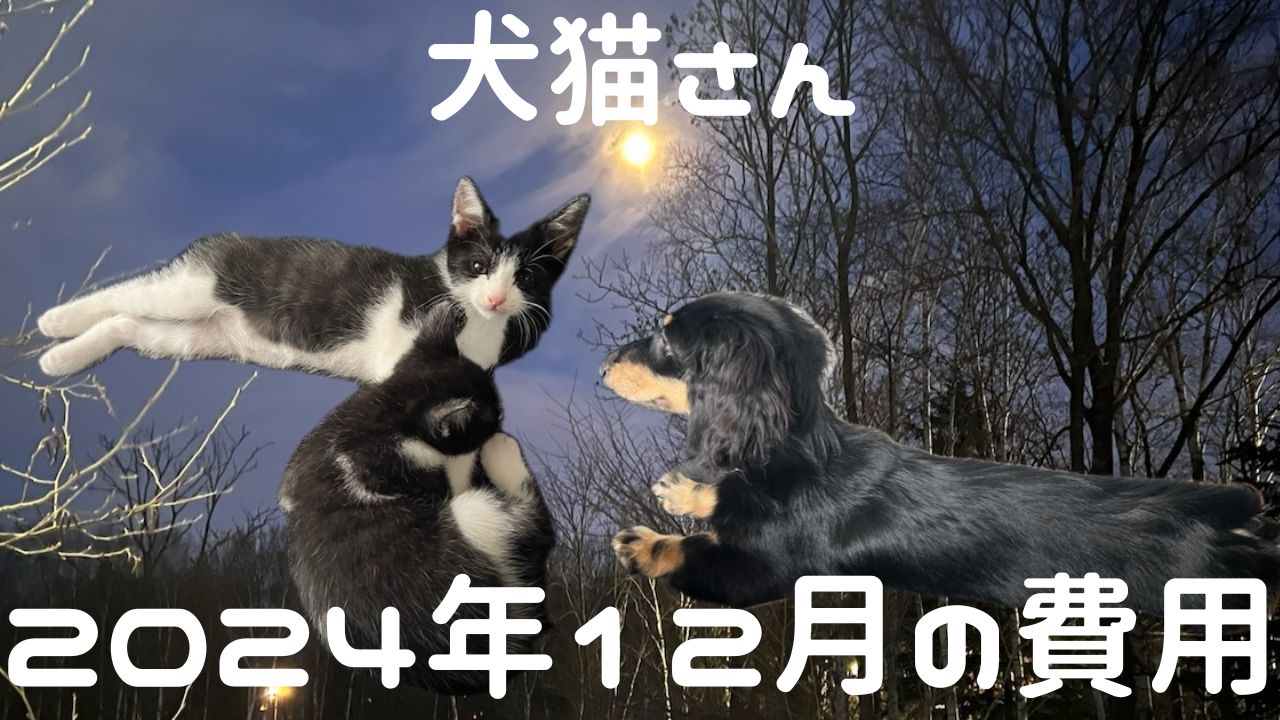 犬猫アイキャッチ 2024年12月費用