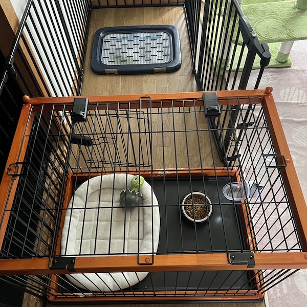 初日から慌てないお迎え準備2