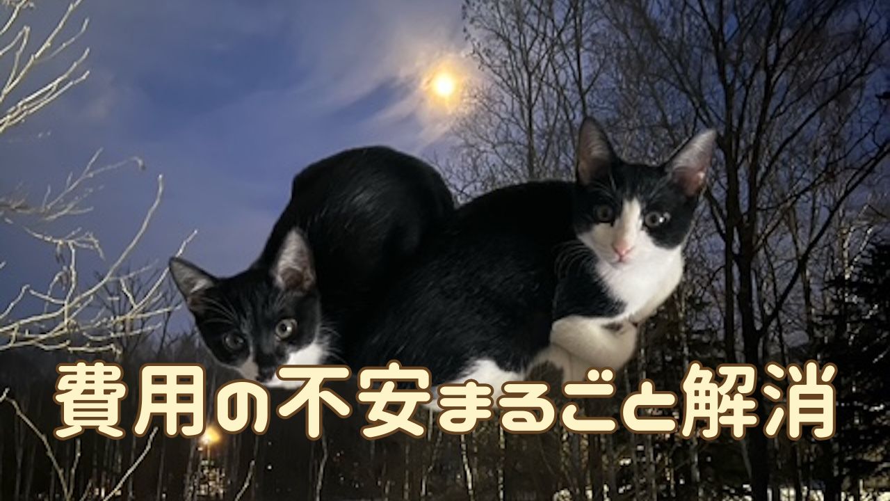 猫アイキャッチ 費用