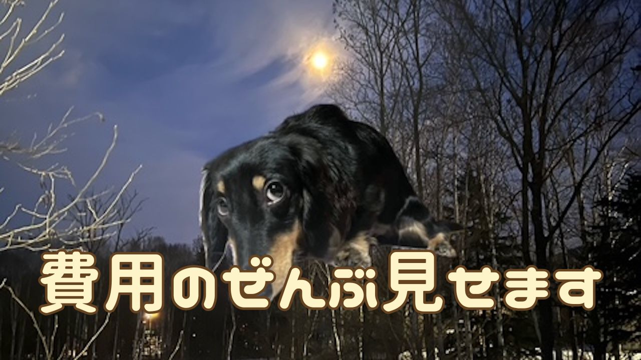 犬アイキャッチ 費用
