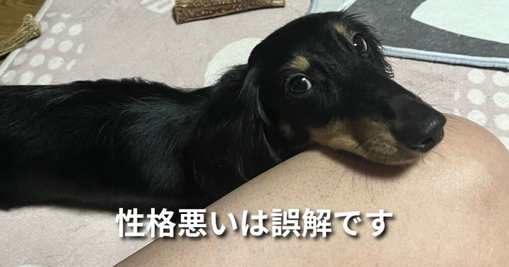 性格悪いは誤解です アイキャッチ