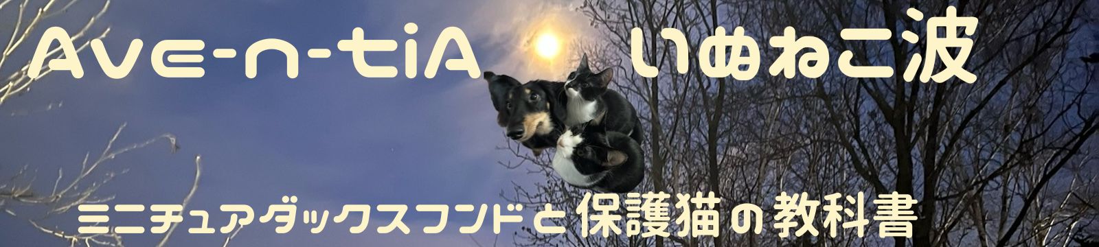 Ave-n-tiA　いぬねこ波