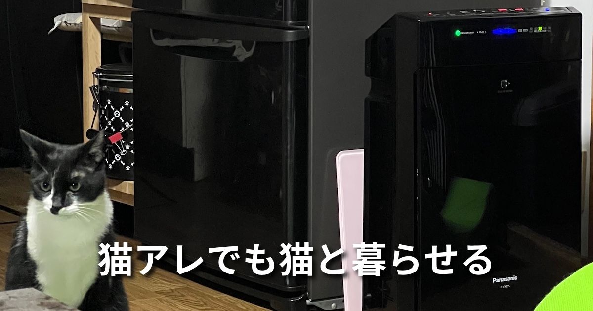 猫アレでも猫と暮らせる アイキャッチ
