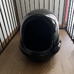 猫スターターセット表2