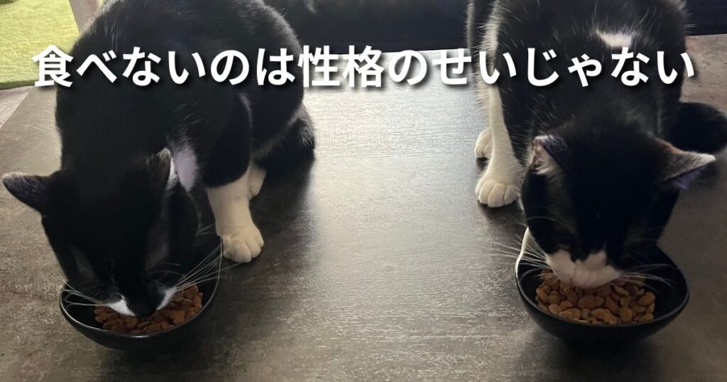 食べないのは性格のせいじゃない アイキャッチ