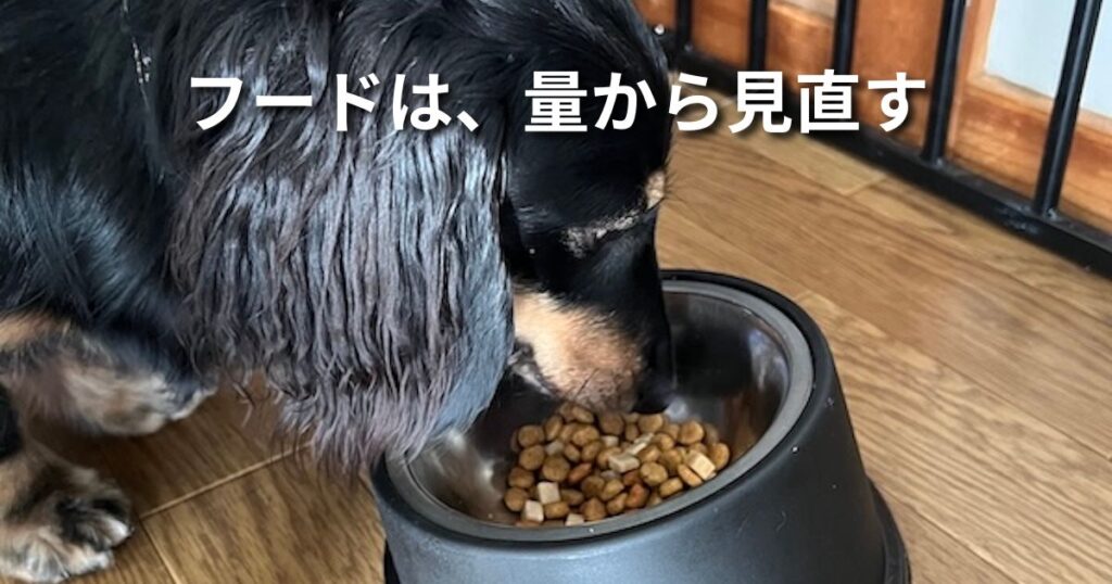 フードは、量から見直す アイキャッチ