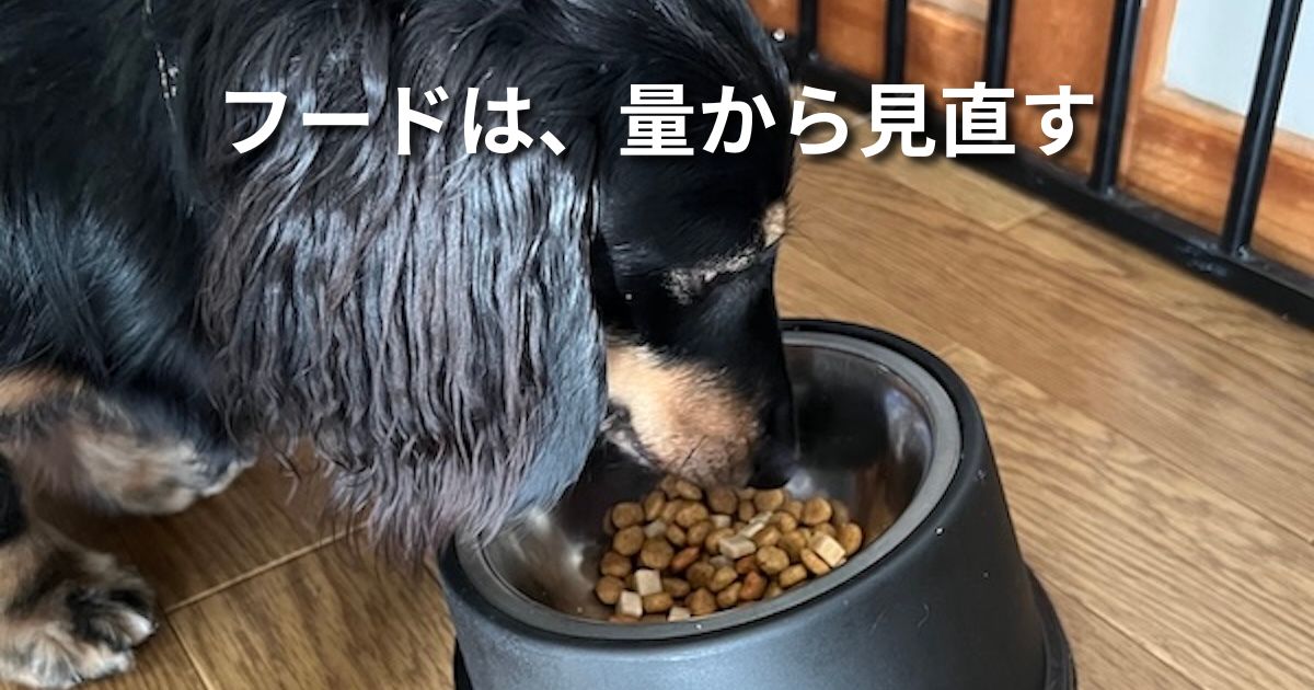 フードは、量から見直す アイキャッチ