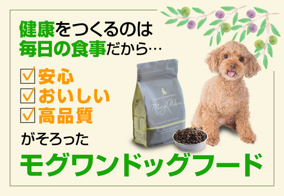 ドッグフードモグワン3