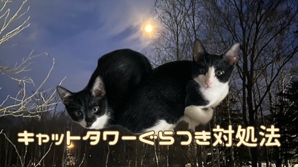 猫アイキャッチ キャットタワー