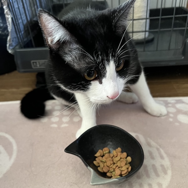 食べない日は、時間を数える1