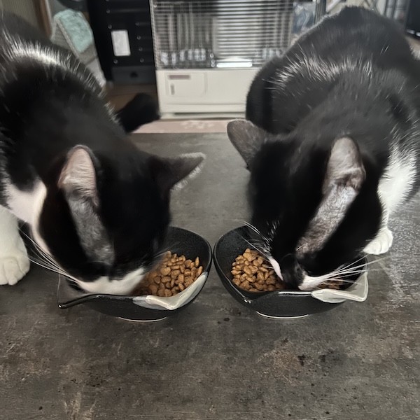 食べない日は、時間を数える2