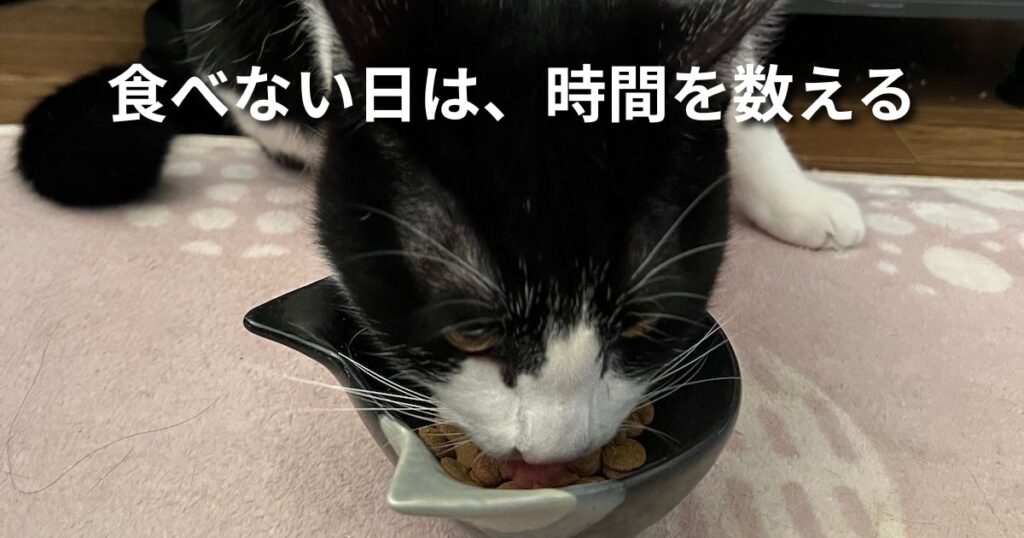 食べない日は、時間を数える アイキャッチ