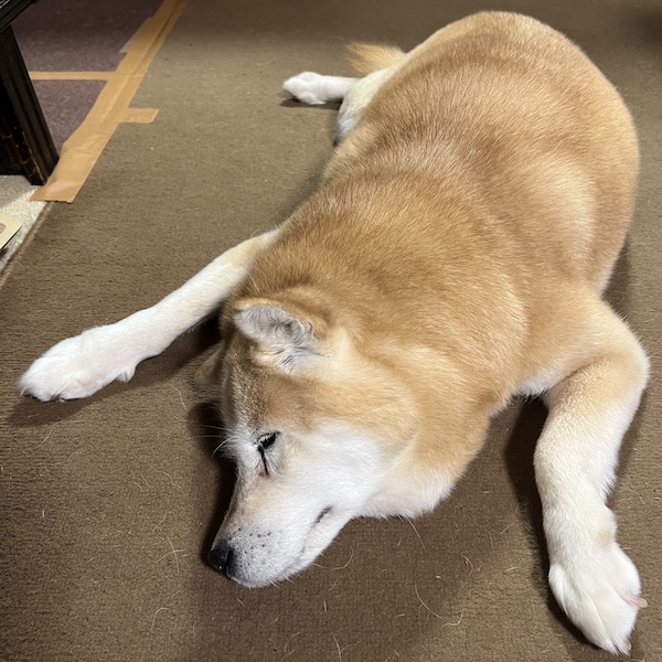 死ぬのが怖くても、迎えていい1