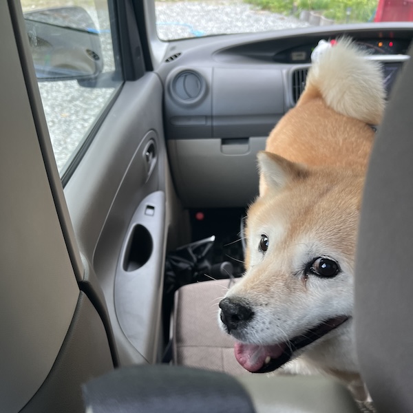 仕事に行けなかった2週間3