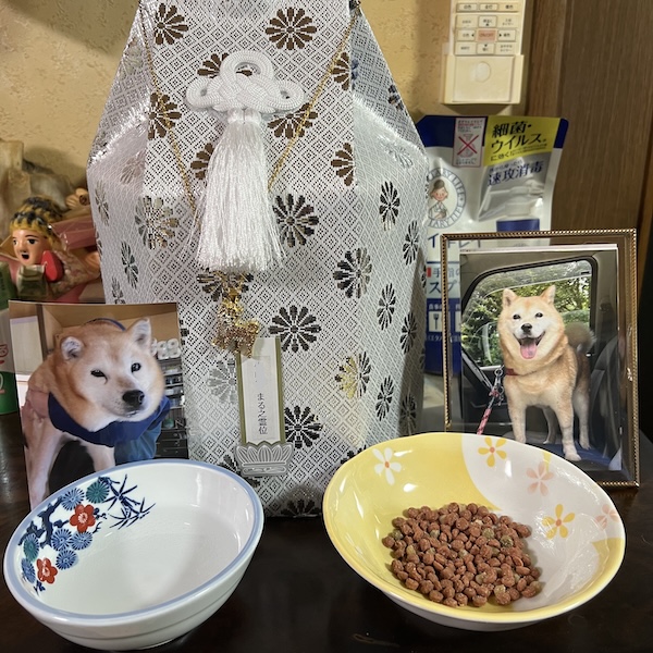 仕事に行けなかった2週間4