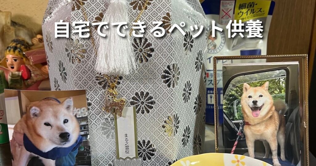自宅でできるペット供養 アイキャッチ