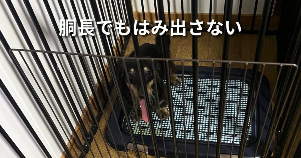 胴長でもはみ出さない アイキャッチ