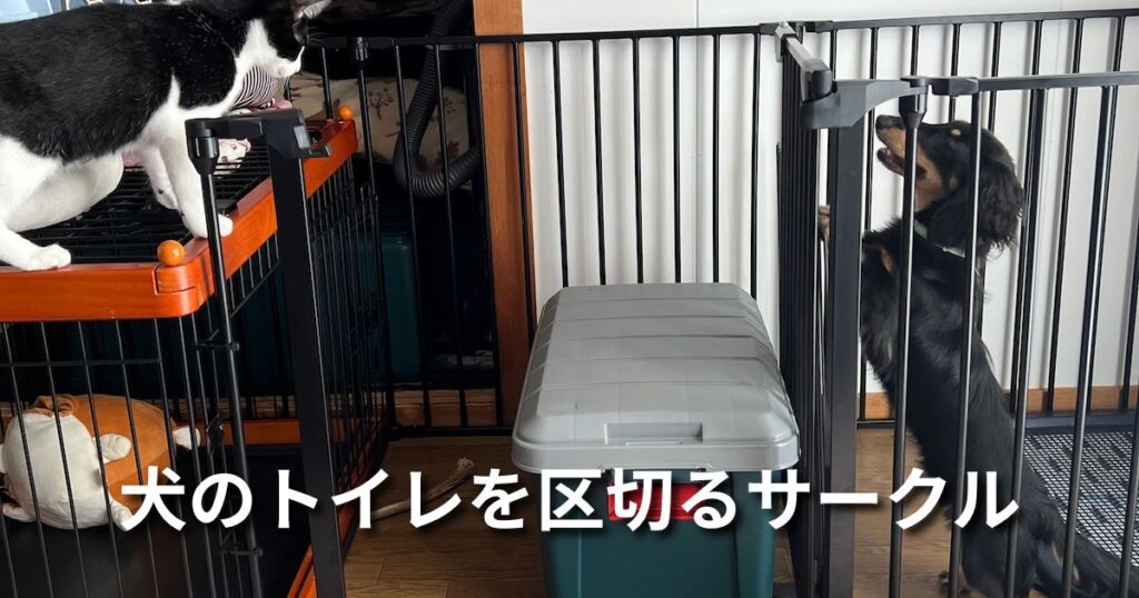 犬のトイレを区切るサークル アイキャッチ
