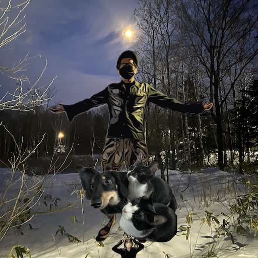 Ave-n-tiA　いぬねこ波のアバター