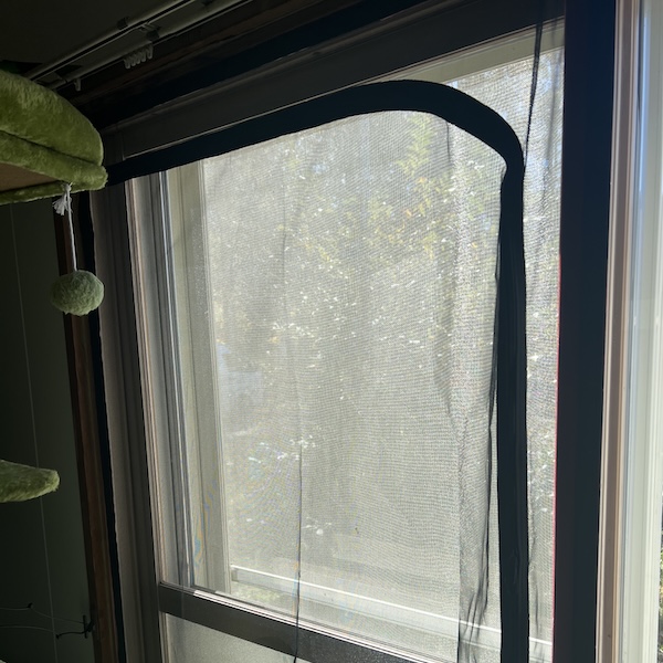 犬猫の脱走防止4