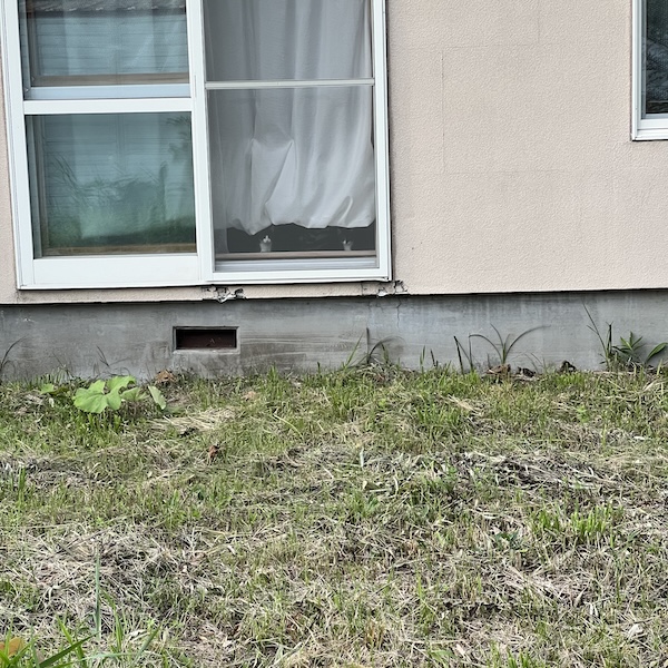 犬猫の熱中症対策6