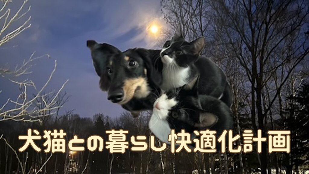 犬猫アイキャッチ グッズ・お役立ちアイテムまとめ