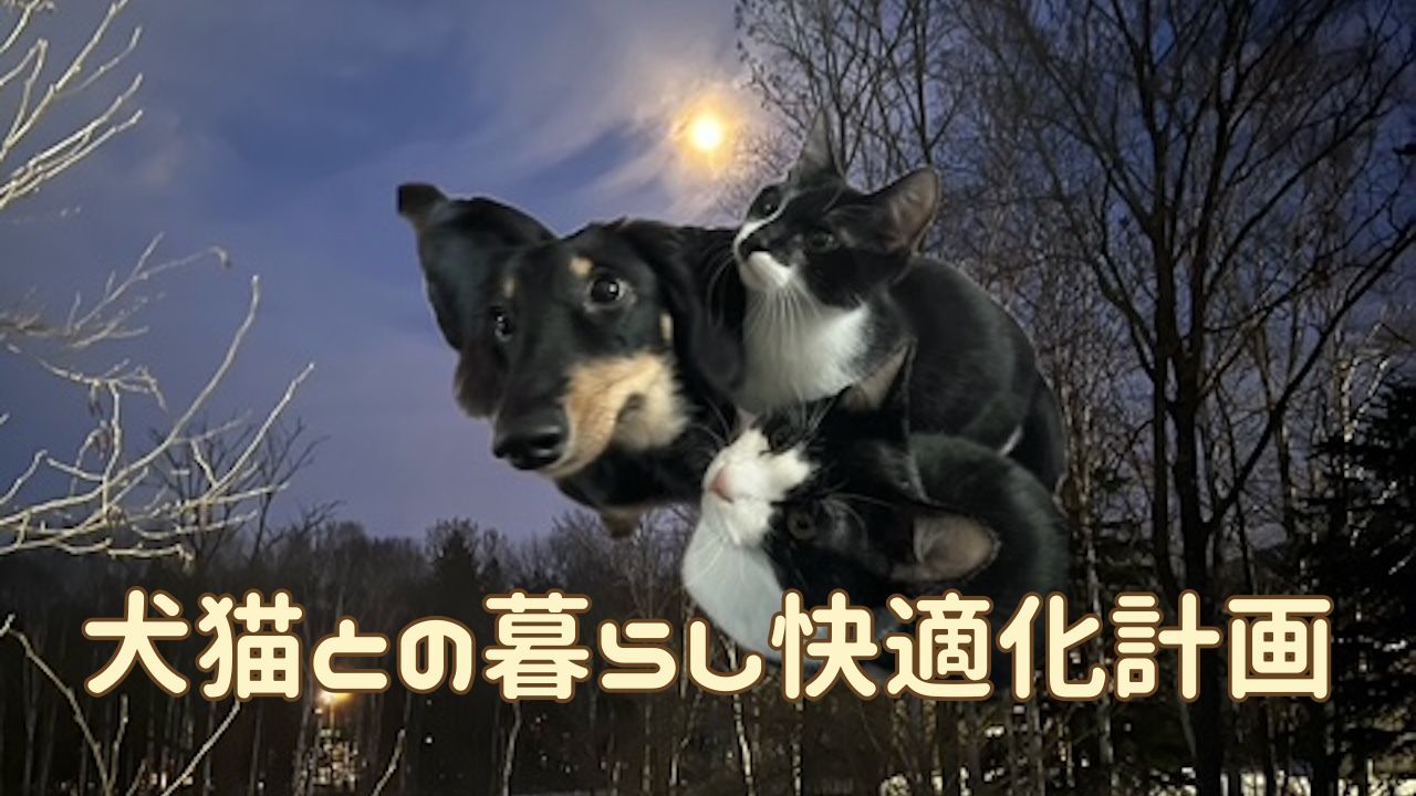 犬猫アイキャッチ グッズ・お役立ちアイテムまとめ