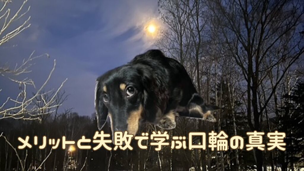 犬アイキャッチ 口輪のメリット、デメリット