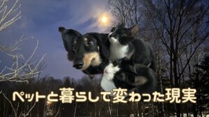 犬猫アイキャッチ ペットと暮らして変わったこと