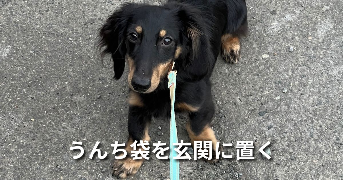 うんち袋を玄関に置く アイキャッチ