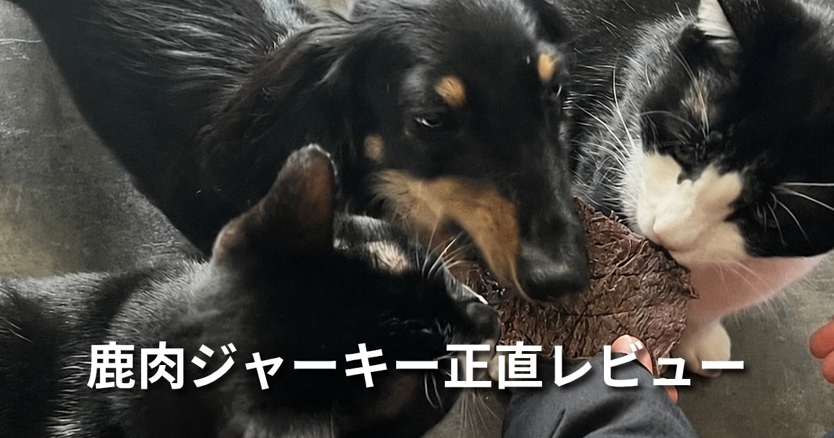 鹿肉ジャーキーレビュー アイキャッチ