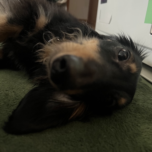 プロフィール2