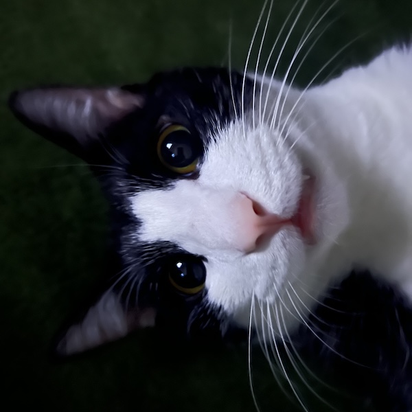 プロフィール3