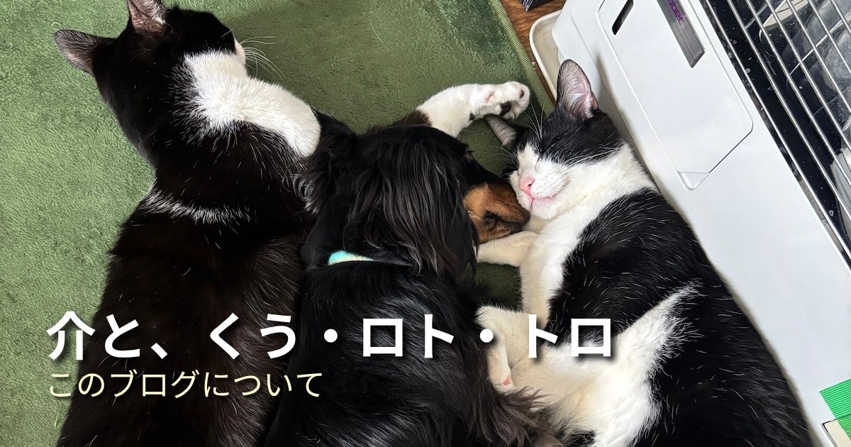 プロフィール アイキャッチ