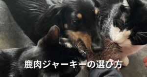 鹿肉ジャーキーの選び方 アイキャッチ