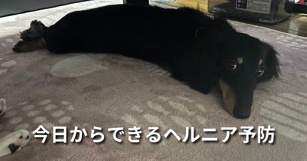 今日からできるヘルニア予防 アイキャッチ