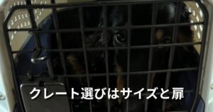 クレート選びはサイズと扉 アイキャッチ