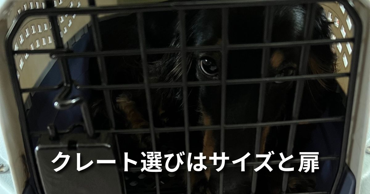 クレート選びはサイズと扉 アイキャッチ